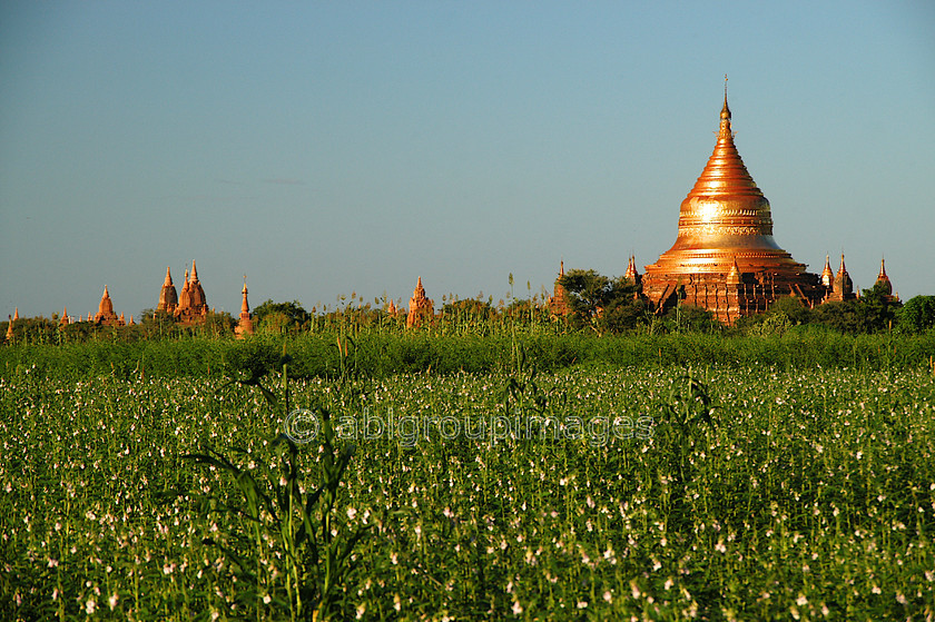 Burma - 01349 
 Stupa, Bagan Plain 
 Keywords: religious building, Myanmar, architecture, Burma, building, Bagan, Asia, Stupa