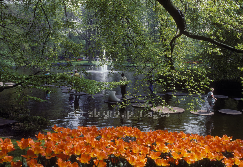 NE123 
 Keukenhof Gardens tulips fields, Amsterdam Holland 
 Keywords: plants, public garden, perennial, tulip, Europe, tulips, emotion, peaceful, Flowers, Netherlands, flower, landscape, gardens, calm