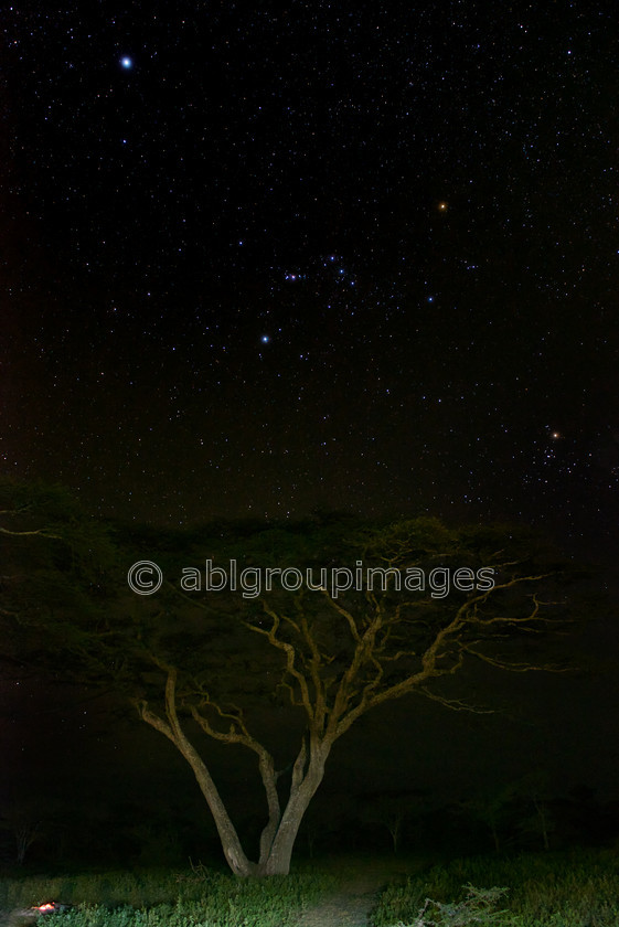 Serengeti 2013-03-12 21-39-31 ABL 6073.tiff - Version 5 
 Keywords: Africa, , Imagefile-Gallery, land, landscape, Night, rural landscape, scenery, sky, stars, Tanzania