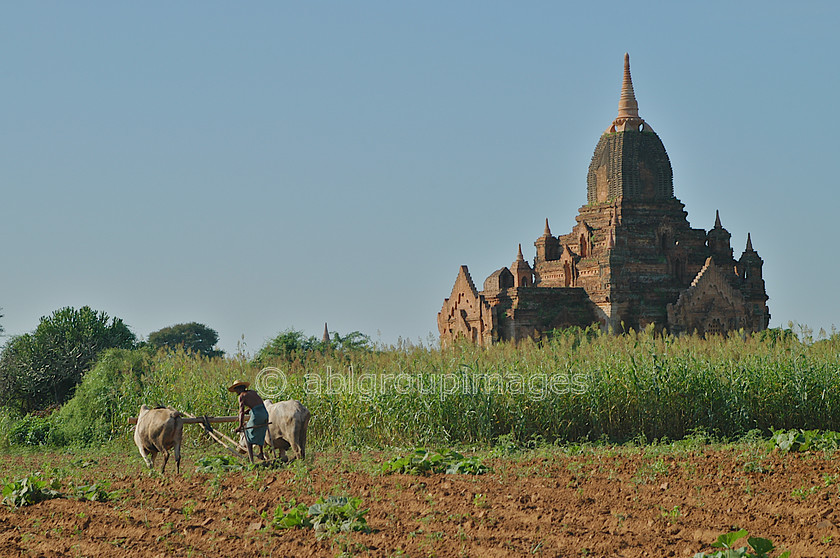 Burma - 00322 
 Bagan Plain - Temples of Bagan The spectacular plain of Bagan in which stand thousands of Stupas and Pahto (temples) adjacent to the Ayeyarwady (Irrawaddy) River 
 Keywords: architecture, Stupa, religious building, Burma, Asia, Bagan, Landscape, Myanmar, Ayeyarwady River, building