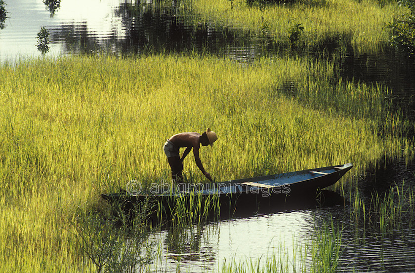 BRA388 
 Amazon River with man in canoe 
 Keywords: Landscape, river, Day, Brazil, South America, boats, water, Brasil, canoe, water transportation, canoes