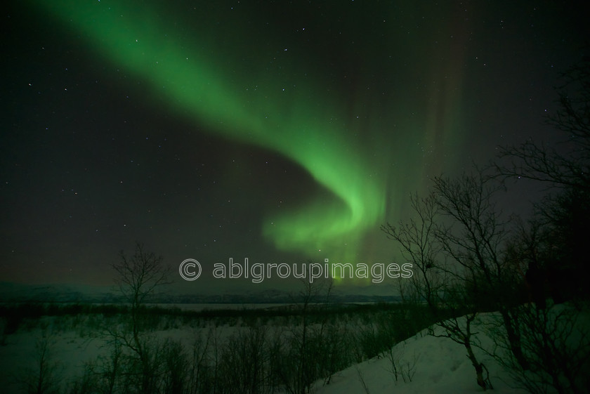 Lights-over-Lapland 2015-01-19 22-27-41 ABL 4708 
 Keywords: Aurora Borealis, ENVIRONMENT, Europe, events, Northern Lights, Scandinavia, Sweden