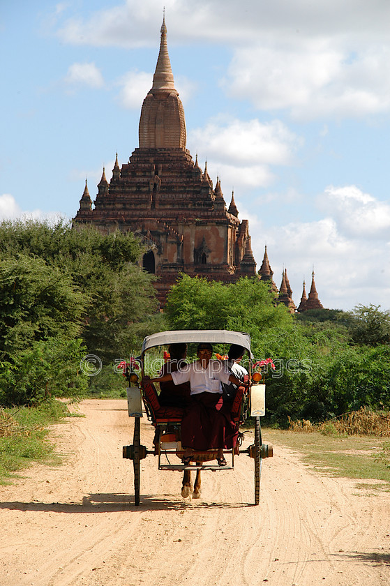 Burma - 01211 
 Bagan Plain - Sulamani Temple (Pahto) Circa 1181 with horse a cart 
 Keywords: building, Burma, architecture, Asia, religious building Portrait, Myanmar, Bagan